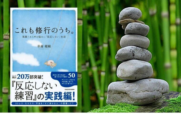 これも修行のうち あらゆる悩みに 反応しない 実践 生活 セール 実践